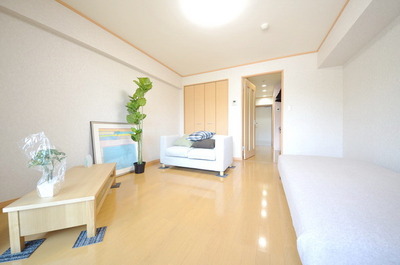 Living and room.  ☆ 8.2 Pledge of large room ☆