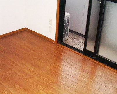 Living and room. Popular Flooring