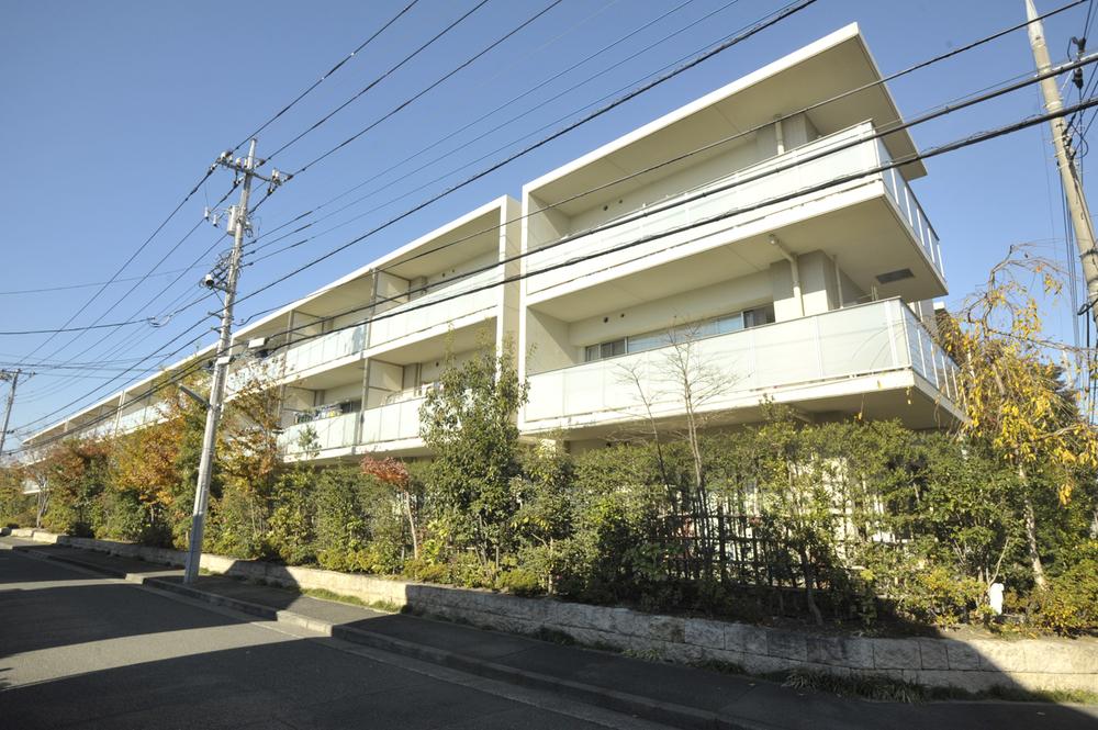 Local appearance photo. Local (11 May 2013) Shooting