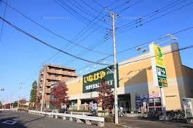 Supermarket. Inageya Ina21_Hinoekimaetenmade 716m