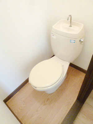 Toilet. Toilet