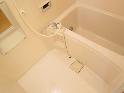 Bath. Spacious bathroom