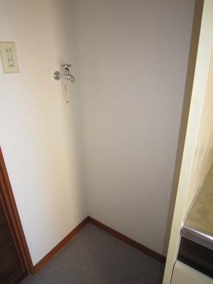 Washroom. Laundry Area