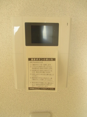 Security. Monitor with intercom