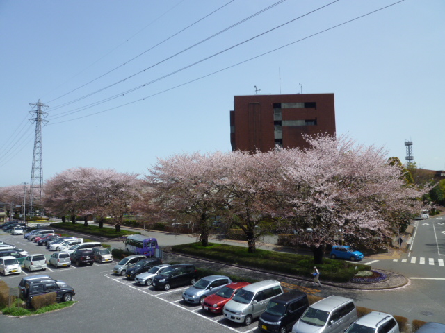 Government office. 1100m Hino to City Hall (government office)