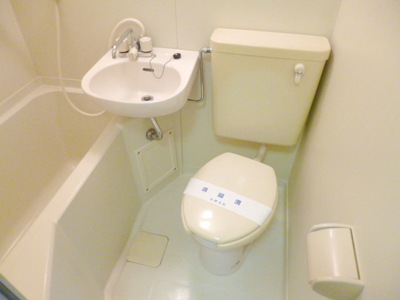 Toilet. Clean unit type