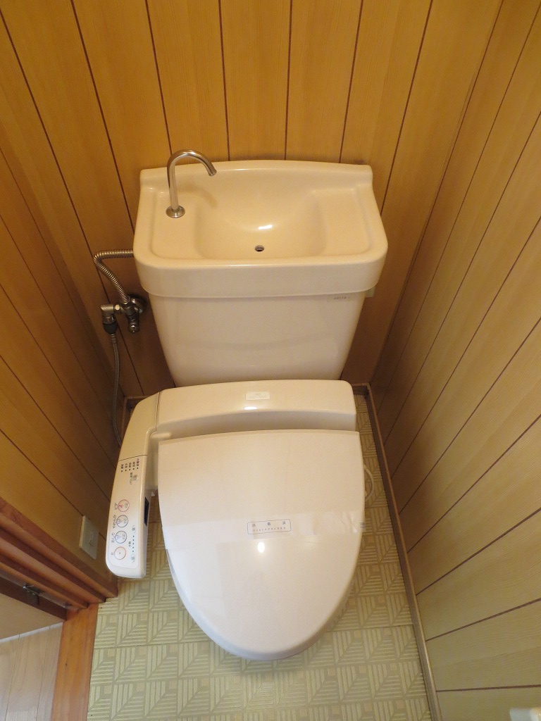 Toilet. With butt-friendly cleaning toilet seat