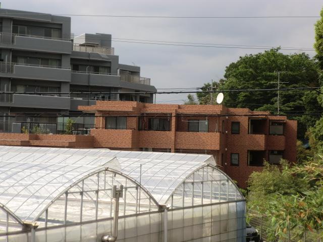 Local appearance photo. Local (10 May 2013) Shooting