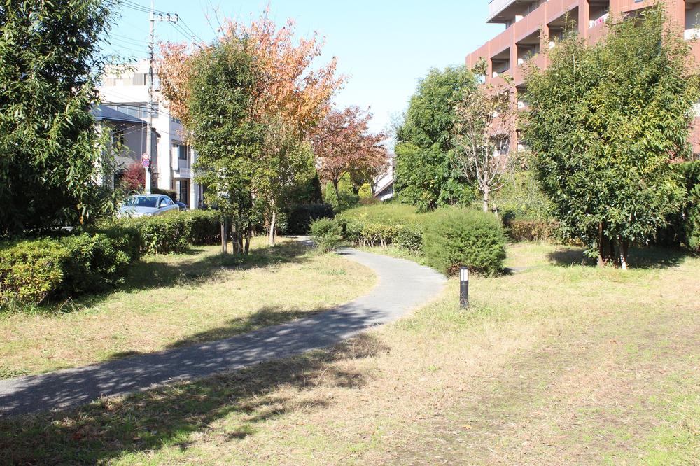 Garden. Local (11 May 2013) Shooting