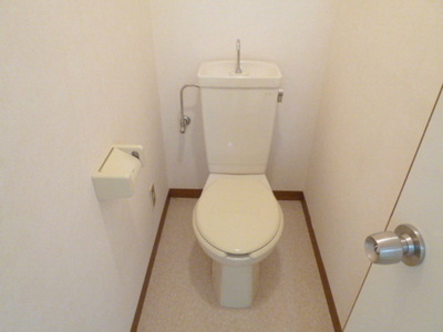 Toilet. Toilet with cleanliness