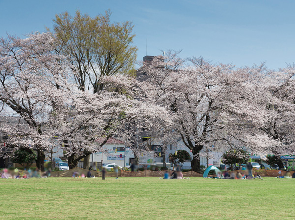 Surrounding environment. Asahigaoka Central Park (8-minute walk / About 640m)