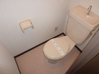 Toilet. Toilet