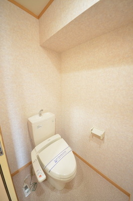 Toilet.  ☆ Clean toilet ☆ 