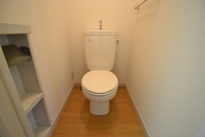 Other. Toilet