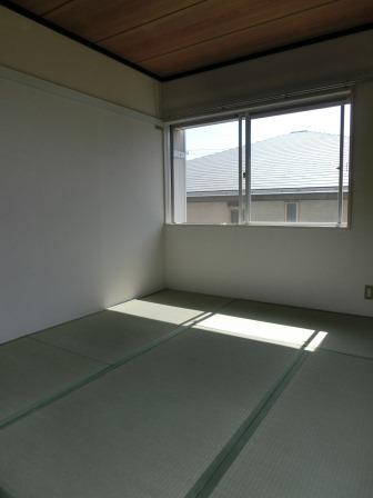 Living and room. East Japanese-style room