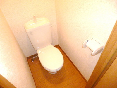 Toilet. Toilet