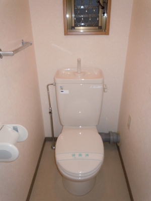 Toilet. Toilet