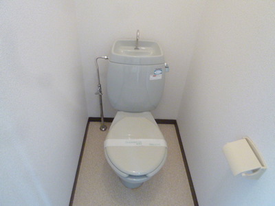 Toilet. Toilet