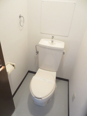 Toilet. Toilet with cleanliness