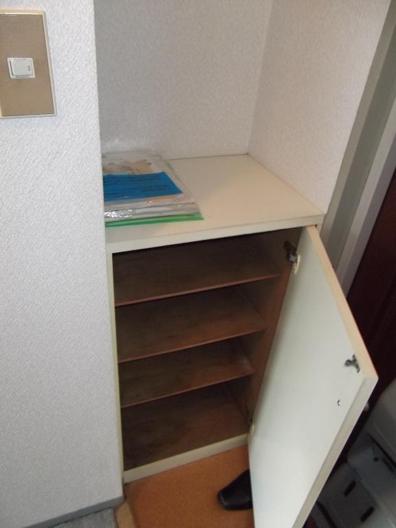 Entrance. Shoe box
