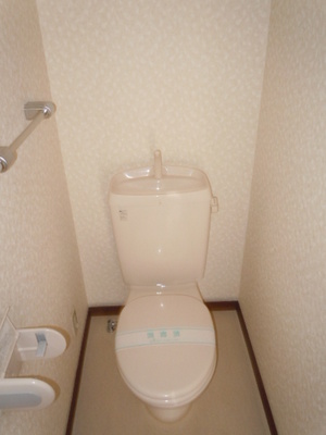 Toilet. Toilet