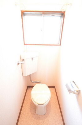 Toilet. Toilet