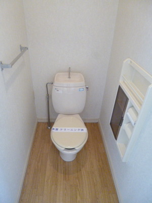 Toilet. Toilet with cleanliness