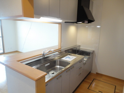 Kitchen. Popular counter kitchen type