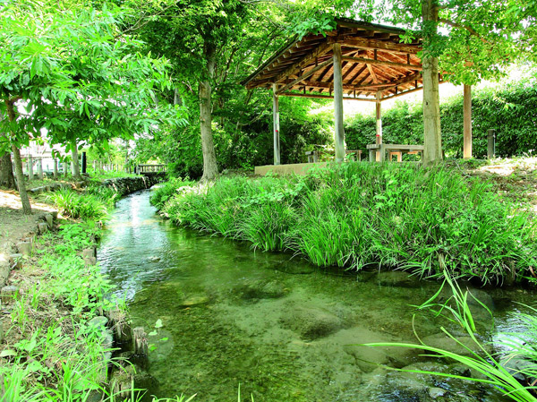 Surrounding environment. Mukojima water parent waterway ・ Mukojima green space (about 780m ・ A 10-minute walk)