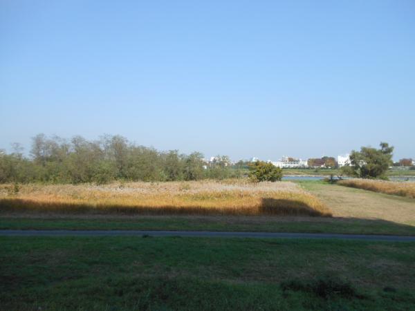 Streets around. 50m until the next to the Tamagawa river bed of the apartment