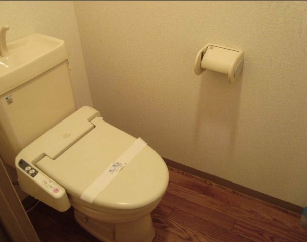 Toilet. Bidet function of the toilet