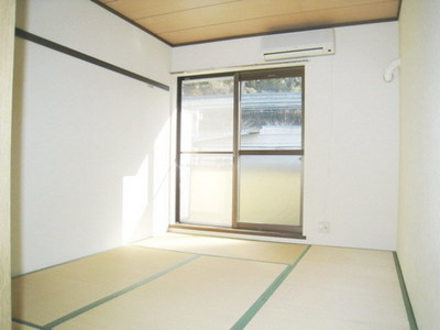 Living and room. Bright Japanese-style room