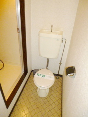 Toilet. Toilet with a feeling of freedom