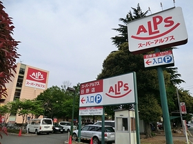 Supermarket. 270m to the Alps (super)