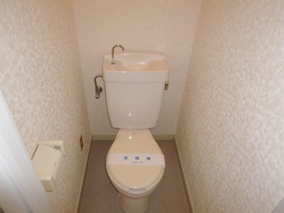 Toilet. Toilet with cleanliness