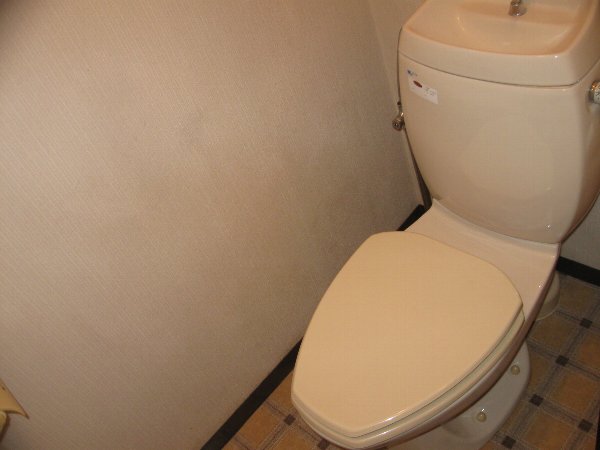 Toilet. Spacious Japanese-style room