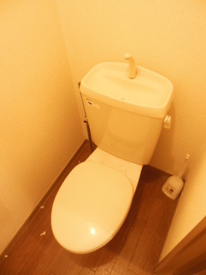 Toilet. Toilet with cleanliness