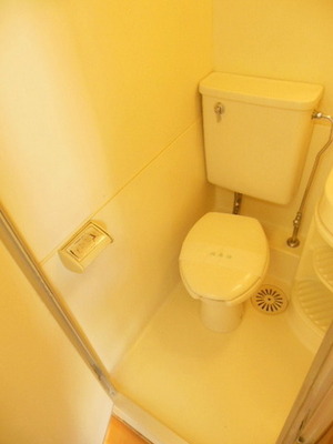 Toilet. Clean well in 3-point unit bus