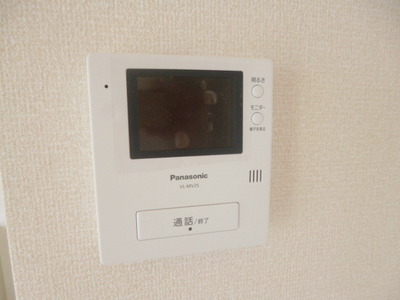 Security. Monitor with intercom