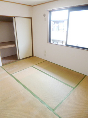 Other room space. Tatami of good scent