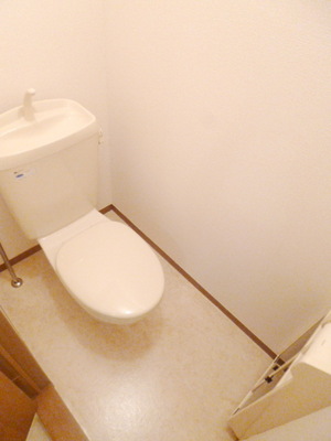 Toilet. Toilet space