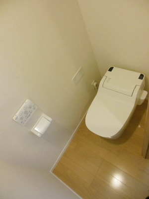 Toilet. Bidet with toilet