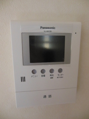 Security. Monitor with intercom