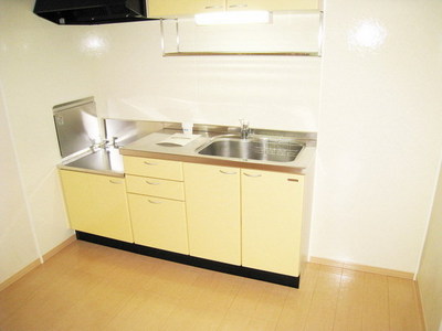 Kitchen. Two-burner gas stove installation Allowed