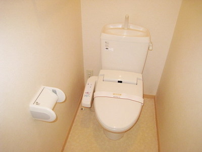 Toilet. With warm water washing toilet seat