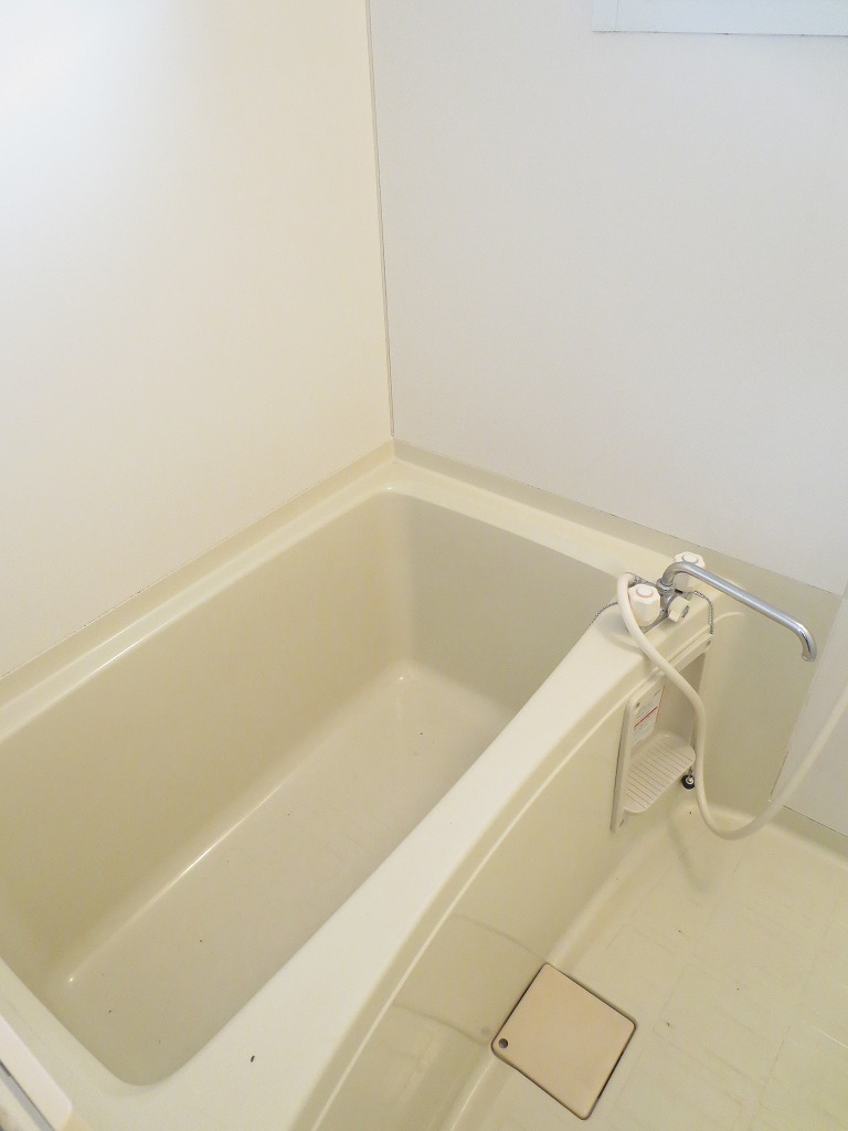 Bath. Spacious bathtub