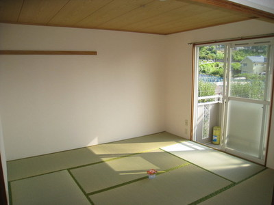 View. Japanese style room