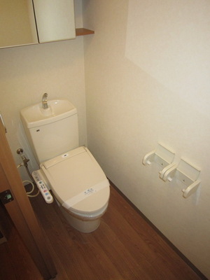 Toilet. The same construction company image view