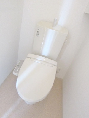 Toilet. Comfortable toilet with a bidet