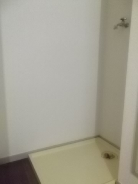 Other. Washing machine in the room